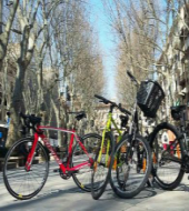 Bike Rental at Palma de Mallorca Bike Rental at Palma de Mallorca